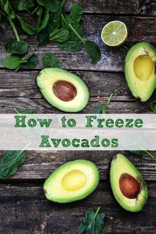 how-to-freeze-avocados