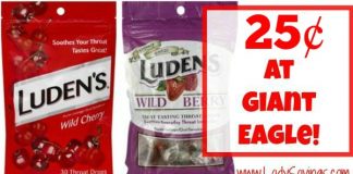 Ludens coupon deal